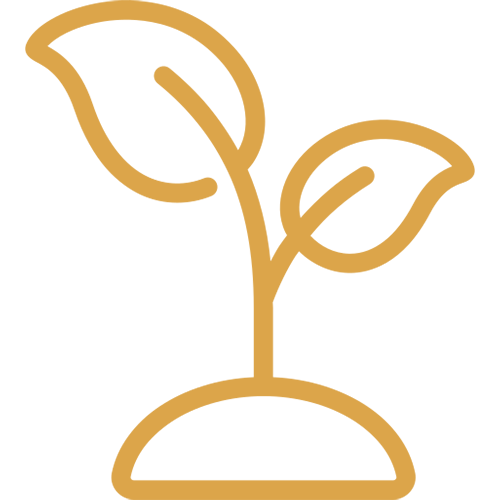 ssprout